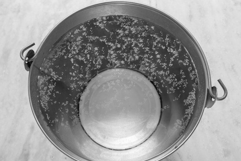 Industry and Violation of Human Right to Water - Tanker water kept in a bucket, showing a fat greasy particulate layer on top within an hour - in Bichhadi, Udaipur district, Rajasthan